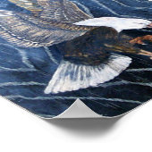 Poster Bald Eagle Scratch (Coin)