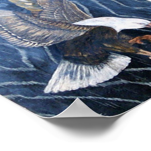 Poster Bald Eagle Scratch (Coin)