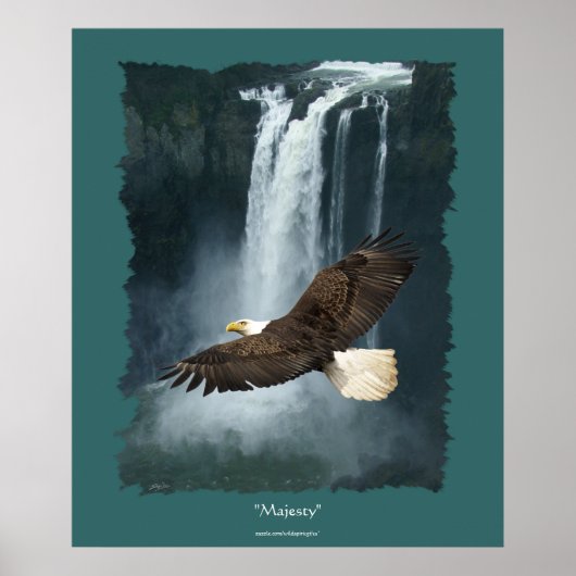 Poster Bald Eagle & Snoqualmie Cascade Nature (Devant)