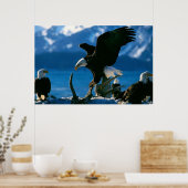 Poster Bald Eagle sur l'affiche du journal (Cuisine)