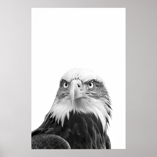 Poster Bald Eagle Woodland Moderne Portrait noir blanc (Devant)