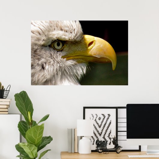 POSTER BALD EAGLES (Bureau à domicile)