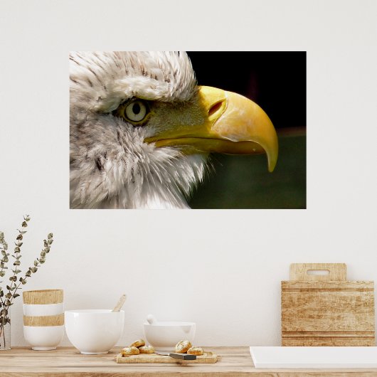 POSTER BALD EAGLES (Cuisine)