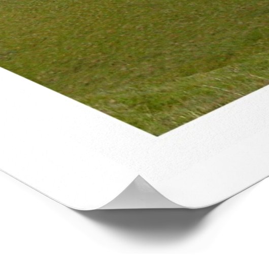 Poster Baldy en février (Coin)