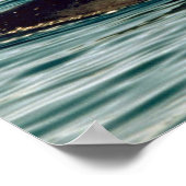 Poster Baleine à bec (Coin)