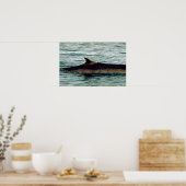 Poster Baleine à bec (Cuisine)