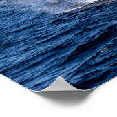 Poster Baleine à bosse (Coin)