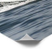 Poster Baleine à bosse (Coin)