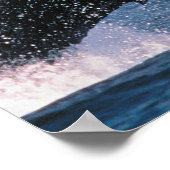 Poster Baleine à bosse faisant une cabriole (Coin)