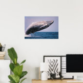 Poster Baleine à bosse faisant une cabriole (Bureau à domicile)