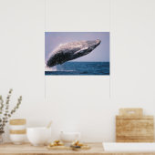 Poster Baleine à bosse faisant une cabriole (Cuisine)