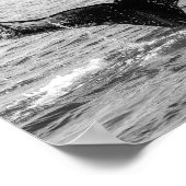 Poster Baleine à bosse - Splash - Photographie de la faun (Coin)