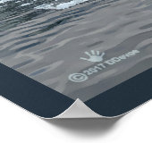 Poster Baleine boréale (Coin)