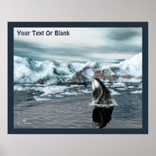 Poster Baleine boréale