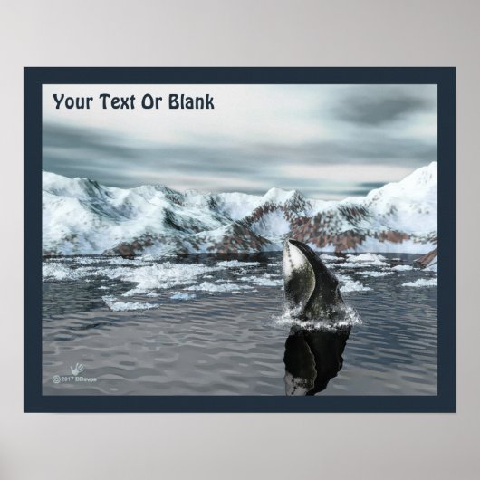 Poster Baleine boréale (Devant)