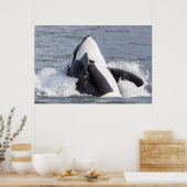 Poster Baleine d'Orca (Cuisine)