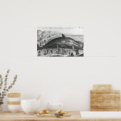 Poster Baleine morte (Cuisine)