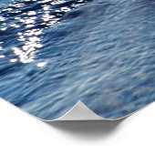 Poster Baleine pilote (Coin)