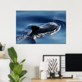 Poster Baleine pilote (Bureau à domicile)