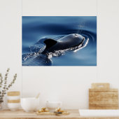 Poster Baleine pilote (Cuisine)