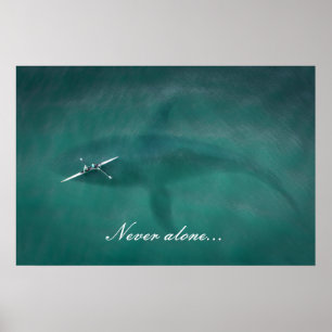 Poster Baleine sous le bateau : jamais seule en mer