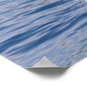 Poster Baleine tueuse sautant hors de l'eau (Coin)