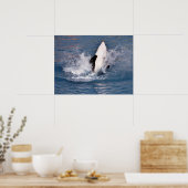 Poster Baleine tueuse sautant hors de l'eau (Cuisine)