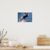 Poster Baleine tueuse sautant hors de l'eau (Cuisine)