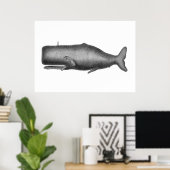 Poster Baleine vintage (Bureau à domicile)
