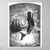 Poster Baleine vintage, Vie Marine Animaux (Devant)