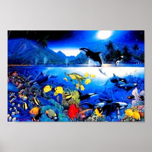 Poster Baleines (Devant)