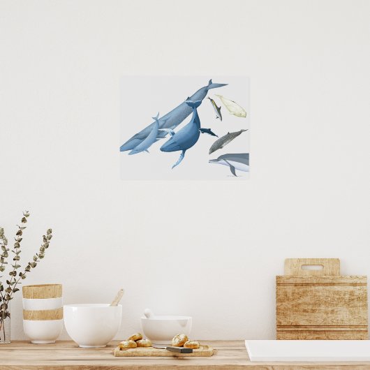 Poster Baleines (Cuisine)