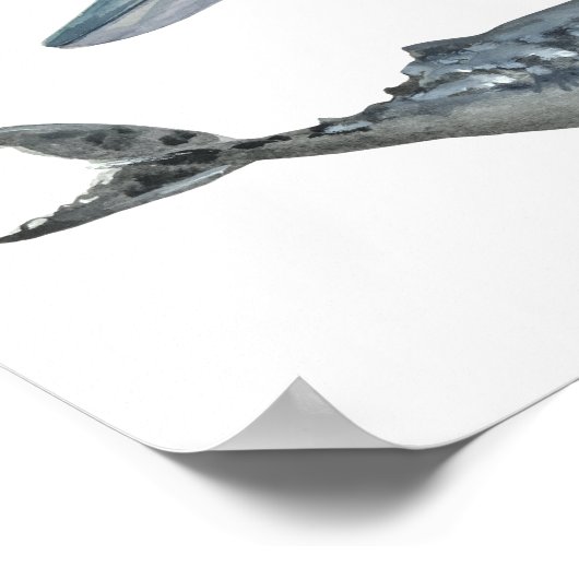 Poster Baleines (Coin)