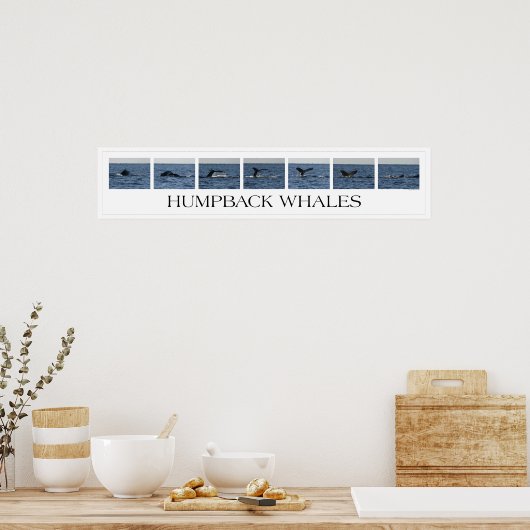 Poster Baleines à bosse (Cuisine)