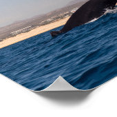 Poster Baleines à bosse au Mexique (Coin)