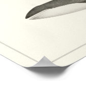 Poster Baleines à bosse et baleines à petits baleines (Coin)