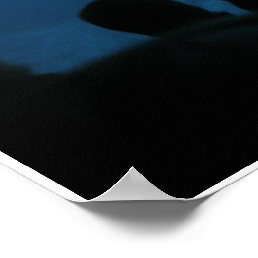 Poster Baleines bélugas III (Coin)