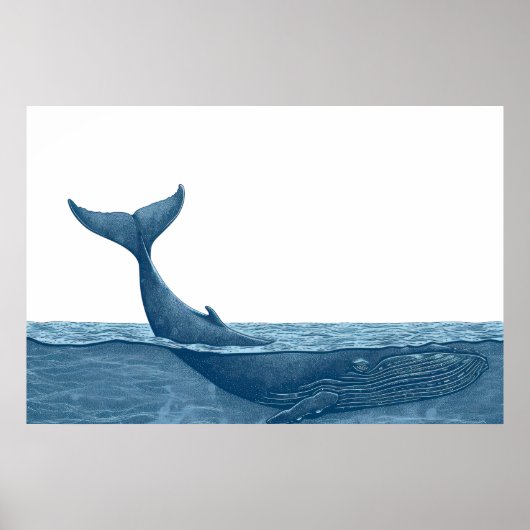 Poster Baleines dans l'océan (Devant)