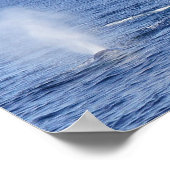 Poster Baleines grises Flûte et souffle de queue - Imprim (Coin)