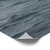 Poster Baleines tueuses en train de sauter (Coin)