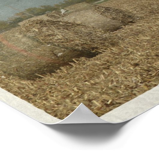 Poster Bales rondes (Coin)