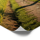 Poster Bali 1920 (Coin)