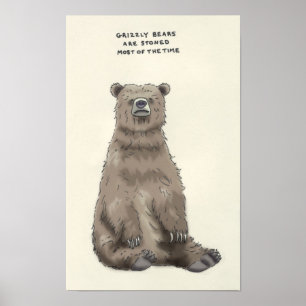 Poster baliverne d'ours gris