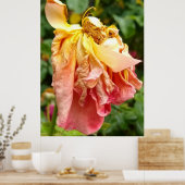 Poster Ball Gown Dead Rose, orange jaune (Cuisine)