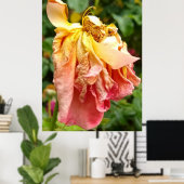 Poster Ball Gown Dead Rose, orange jaune (Bureau à domicile)