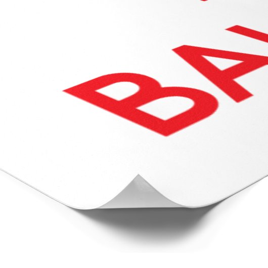 Poster Ball Python (Coin)