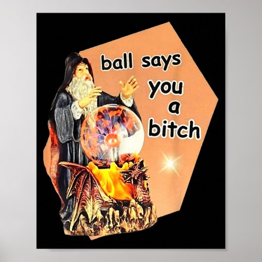 Poster Ball Says You A Btch Meme  (Devant)