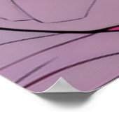 Poster Ballad of the Star Frontiers (Coin)