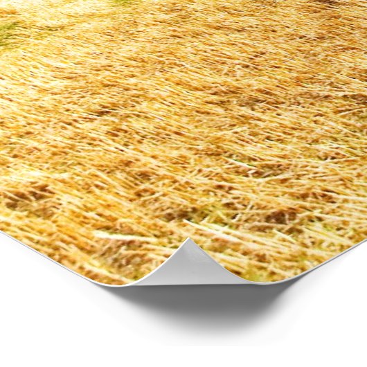 Poster Balle à foin carré (Coin)