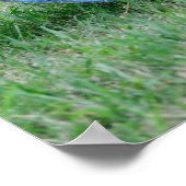 Poster Balle de foin (Coin)